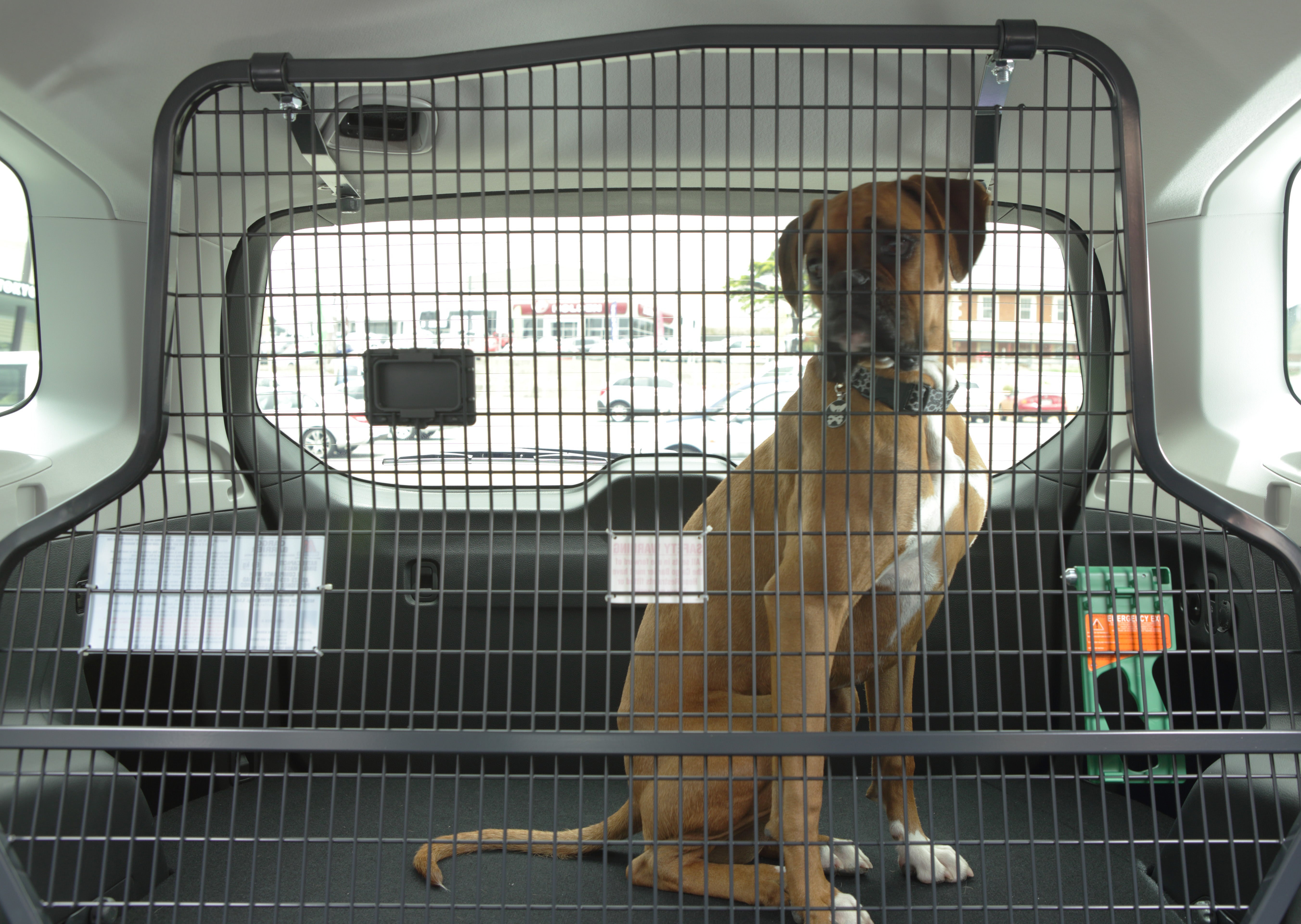 Keep Your Pets Safe on the Road with a Cargo Barrier